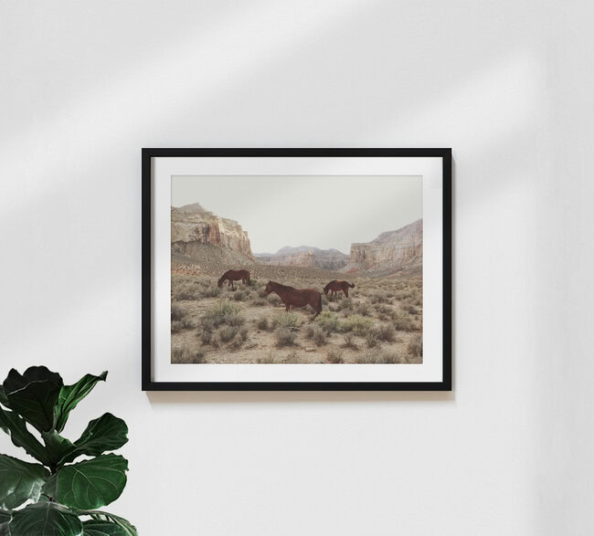 Zuidwestelijke wilde paarden, Bermuda – wandkunst van Kevin Russ als poster of acrylglasprint