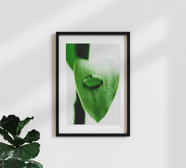 Wassertropfen auf Bambus, Duitsland – muurkunst van Falko Follert als poster of acrylglasafdruk