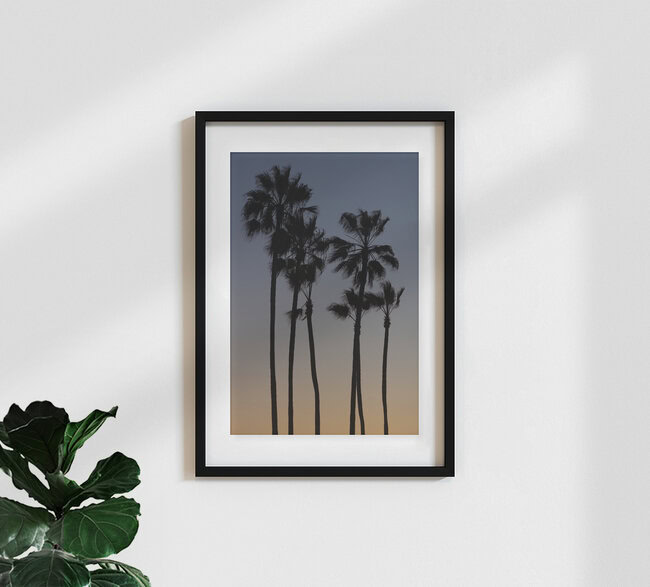 Beach Palms, Verenigde Staten – wandkunst van AJ Schokora als poster of acrylglasprint