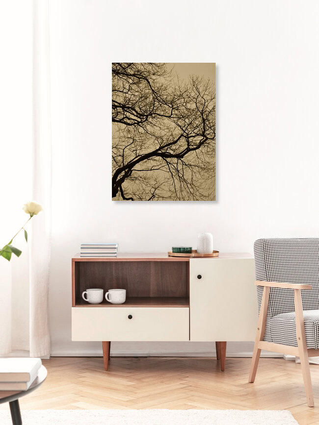golden houre abstract branches, Germany – wall art by Studio Na.hili as Poster or Acrylic Glass Print