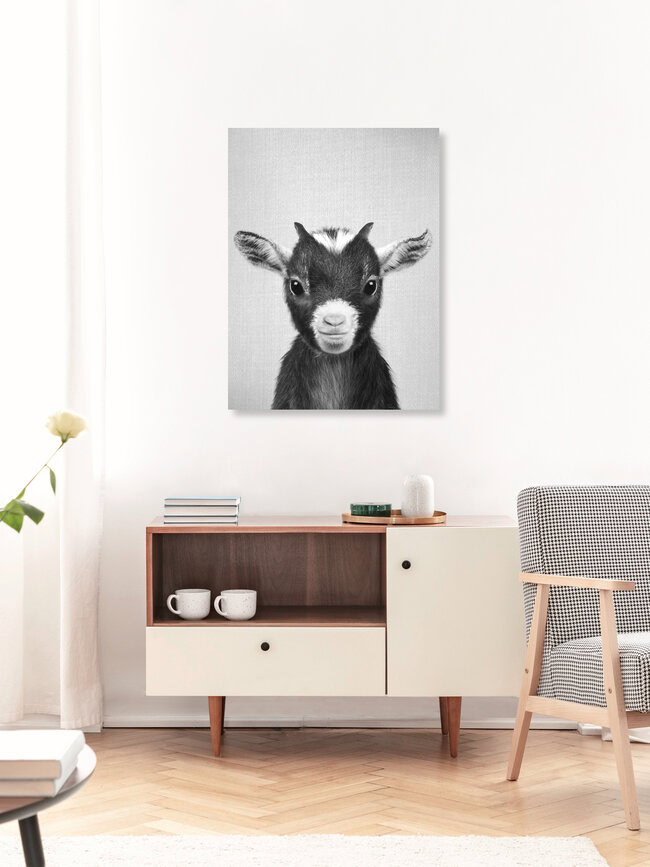 Baby Goat - Black & White, Israel – Fotokunst von Gal Pittel als Poster oder Acrylglasbild