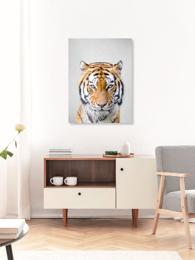 Tiger, Israel – wall art by Gal Pittel as Poster or Acrylic Glass Print