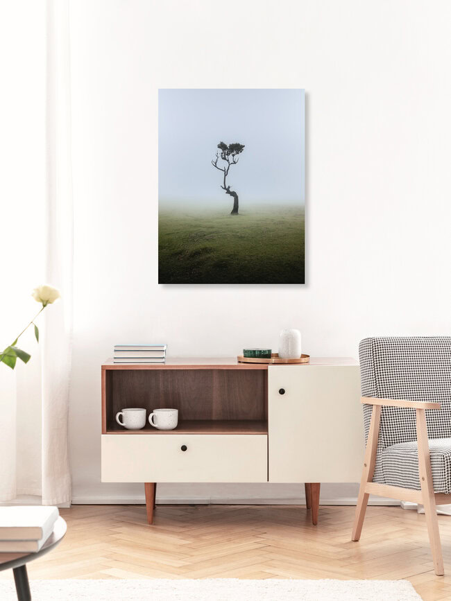 Fanal, Madeira, Portugal – Fotokunst von Reiner Hofer als Poster oder Acrylglasbild
