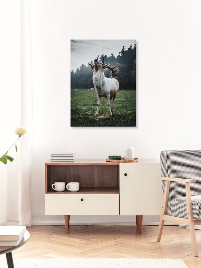 Poser, Germany – wall art by Dominic Lars as Poster or Acrylic Glass Print