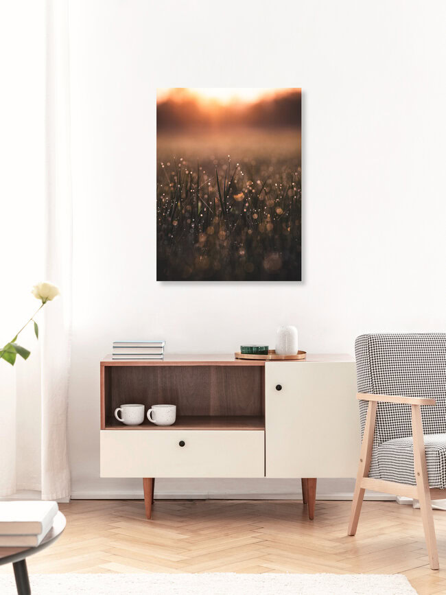 Morning Dew, Germany – wall art by Gergo Kazsimer as Poster or Acrylic Glass Print