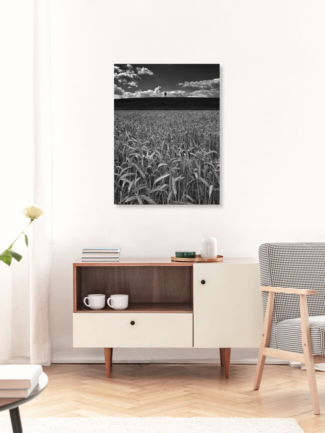 Getreidefeld im Sommer, Deutschland – Fotokunst von Ernst Pini als Poster oder Acrylglasbild