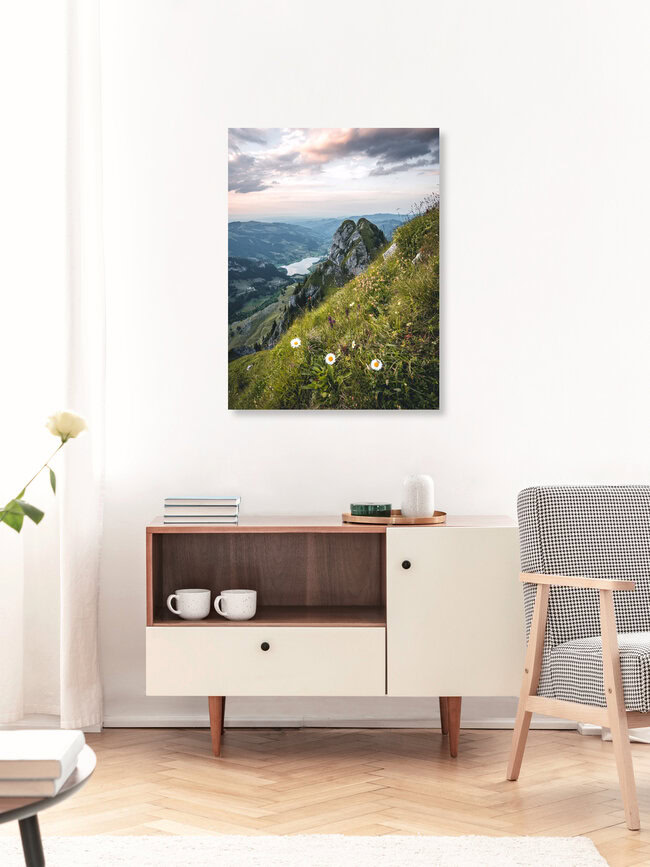 The 3 daisies, Switzerland – wall art by Niels Oberson as Poster or Acrylic Glass Print