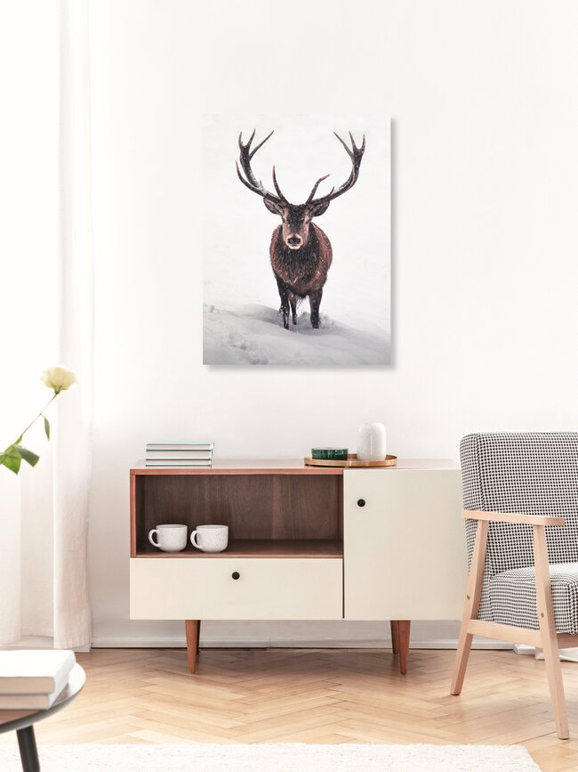 Der König des Waldes, Deutschland – Fotokunst von Daniel Weissenhorn als Poster oder Acrylglasbild
