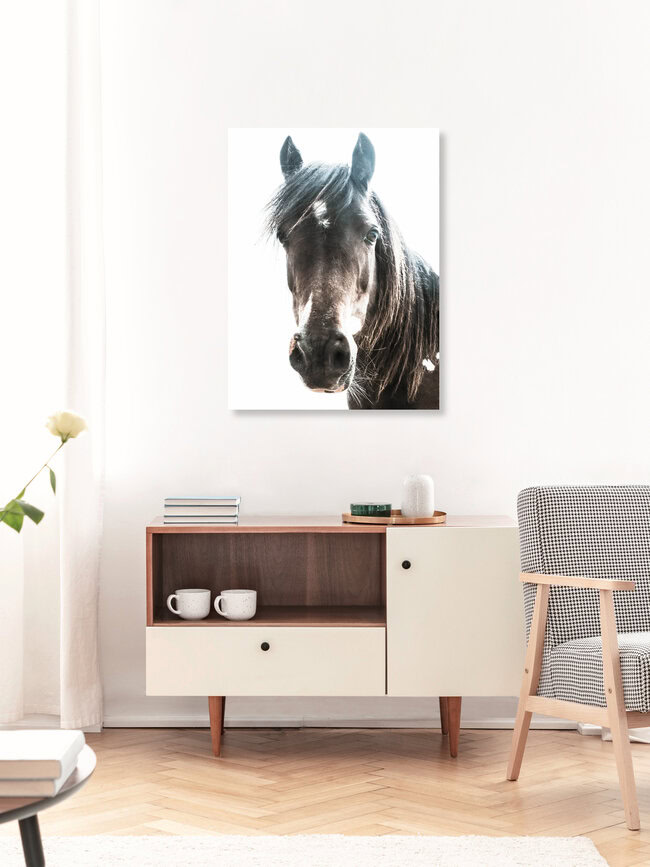 Horse, United Kingdom – wall art by Victoria Frost as Poster or Acrylic Glass Print