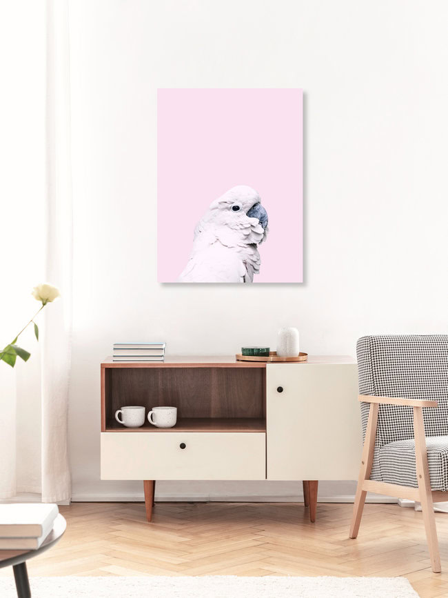 Pink Cockatoo, Indonesien – Fotokunst von Victoria Frost als Poster oder Acrylglasbild