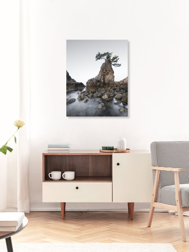 Oita Tree Japan, Japan – Fotokunst von Ronny Behnert als Poster oder Acrylglasbild