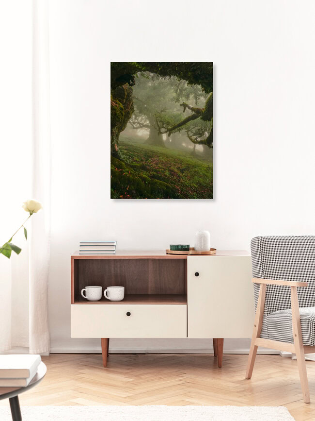 entrance to fairytale forest, Portugal – Fotokunst von Anke Butawitsch als Poster oder Acrylglasbild