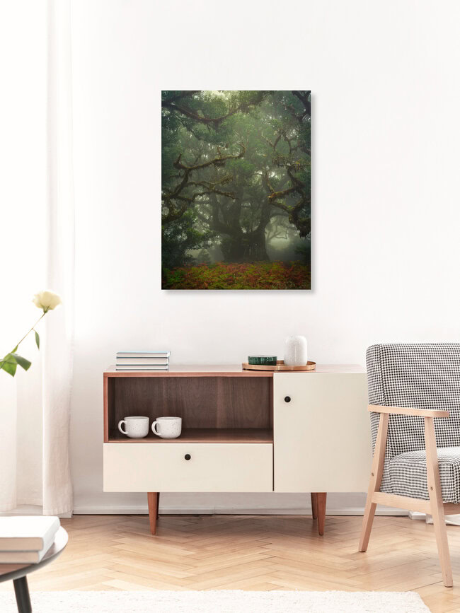 tentacles, Portugal – Fotokunst von Anke Butawitsch als Poster oder Acrylglasbild