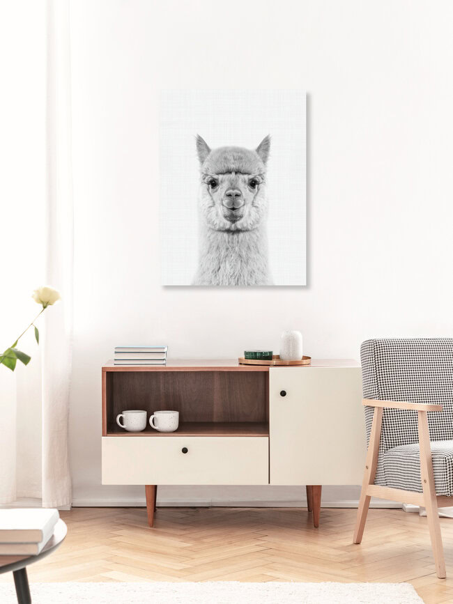 Alpaca (Black and White), United Kingdom – wall art by Vivid Atelier as Poster or Acrylic Glass Print