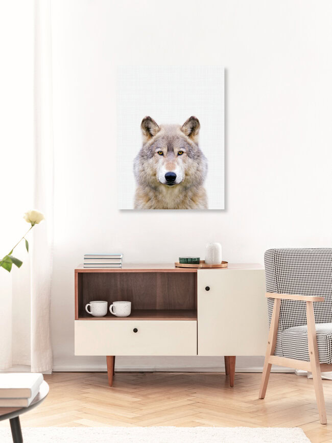 Wolf, Großbritannien – Fotokunst von Vivid Atelier als Poster oder Acrylglasbild