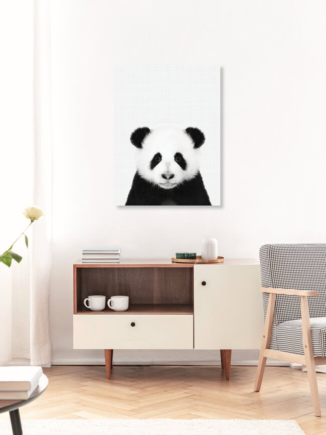 Panda (Black and White), Großbritannien – Fotokunst von Vivid Atelier als Poster oder Acrylglasbild