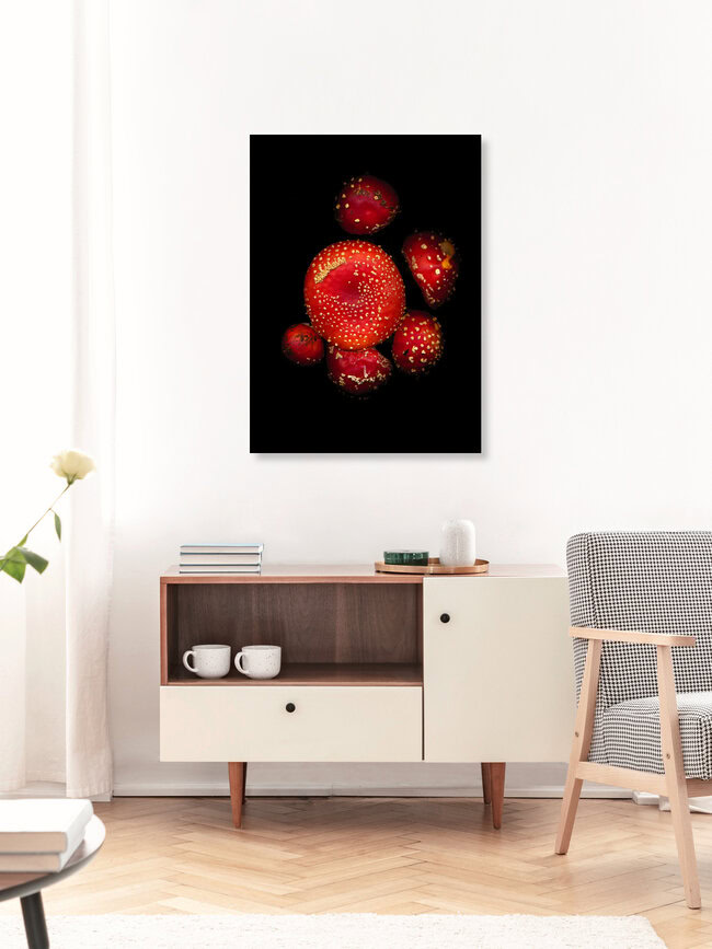 Fliegenpilze, Deutschland – Fotokunst von Ramona Reimann als Poster oder Acrylglasbild
