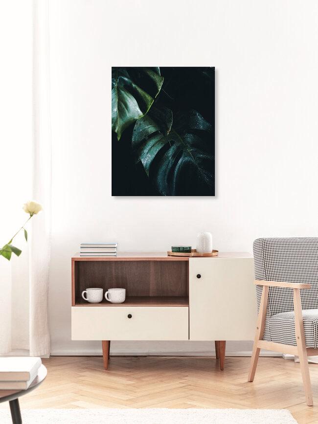 Monstera, Germany – wall art by Philipp Pablitschko as Poster or Acrylic Glass Print