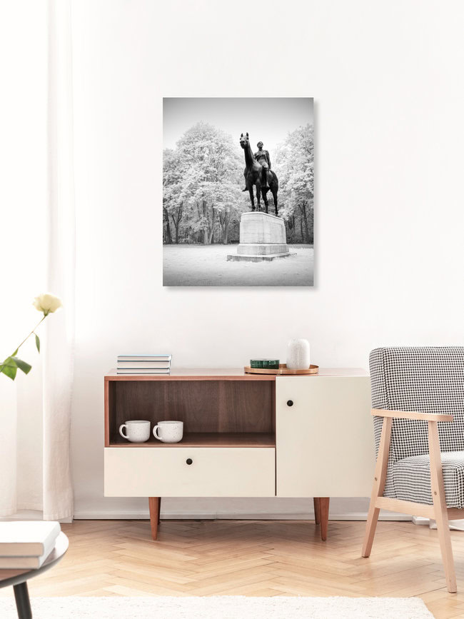 Tiergarten Study 8 - Amazone, Germany – wall art by Ronny Behnert as Poster or Acrylic Glass Print