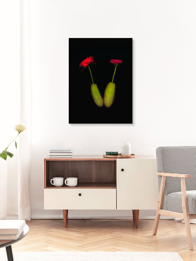 Aiko, Deutschland – Fotokunst von Ramona Reimann als Poster oder Acrylglasbild
