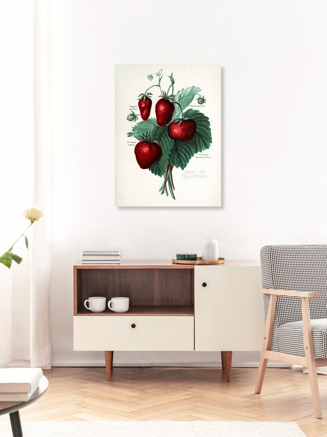Wandbild 'Vintage Illustration Erdbeeren' – Kunst von Vintage Nature Graphics als Poster oder Acrylglasbild
