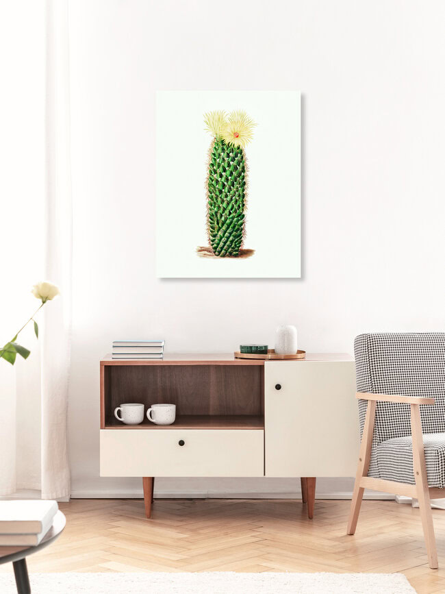 'Vintage cactus with flower' – Wall Art by Vintage Nature Graphics as Poster or Acrylic Glass Print