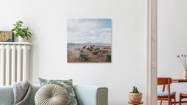 Running Free, Vereinigte Staaten – Fotokunst von Kevin Russ als Poster oder Acrylglasbild
