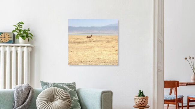 Wildbeest in Ngorongoro, Tansania – Fotokunst von Delia Kämmerer als Poster oder Acrylglasbild