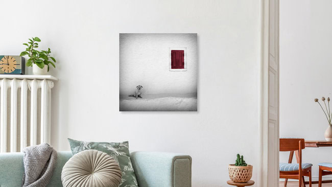 Lonely Dog, Griechenland – Fotokunst von Carsten Meyerdierks als Poster oder Acrylglasbild