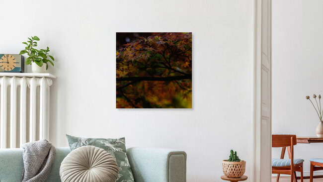 Indian summer of Kyoto, Japan – Fotokunst von Regis Boileau als Poster oder Acrylglasbild