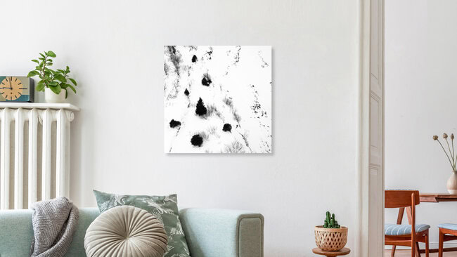 fir tree, Switzerland – wall art by Martina Fischer as Poster or Acrylic Glass Print