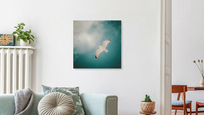 Segler, Germany – wall art by Holger Nimtz as Poster or Acrylic Glass Print