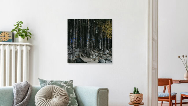 Zauberwald, Russland – Fotokunst von Axel Harries als Poster oder Acrylglasbild