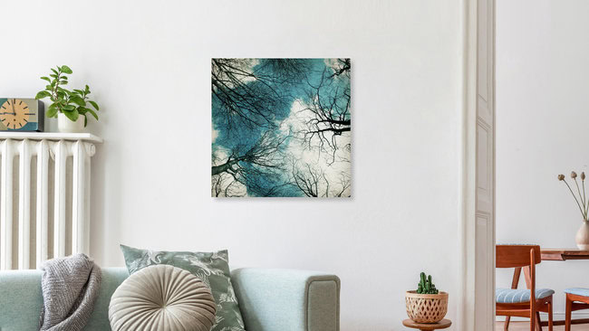 blick nach oben, Germany – wall art by Manuela Deigert as Poster or Acrylic Glass Print
