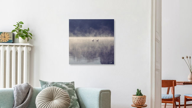 2 Gänse auf einem See mit morgendlichem Nebel, Deutschland – Fotokunst von Nadja Jacke als Poster oder Acrylglasbild