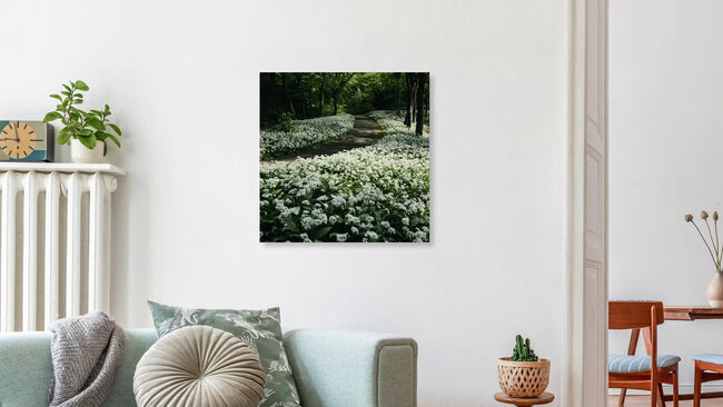 Bärlauchteppich im Botanischen Garten in Bielefeld, Deutschland – Fotokunst von Nadja Jacke als Poster oder Acrylglasbild