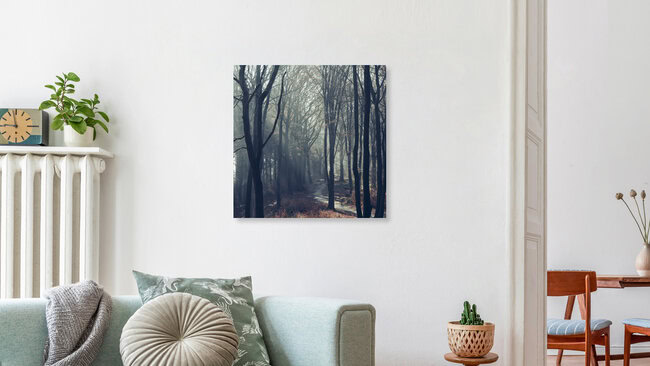 Waldweg in der Wintersonne im Teutoburger Wald, Deutschland – Fotokunst von Nadja Jacke als Poster oder Acrylglasbild