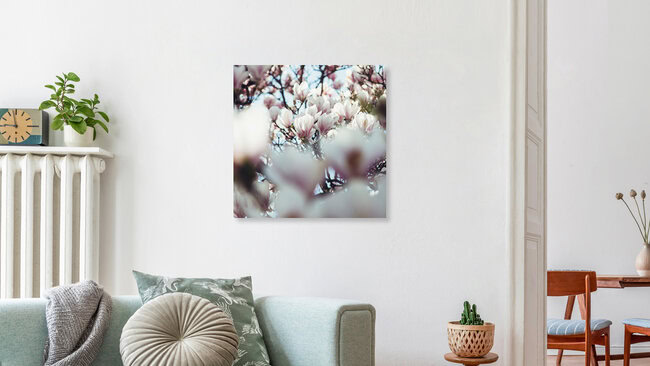 Magnolien-Blüten-Himmel, Deutschland – Fotokunst von Nadja Jacke als Poster oder Acrylglasbild
