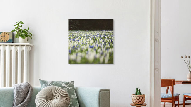 Frühlingswiese in blau-weiß-grün, Deutschland – Fotokunst von Nadja Jacke als Poster oder Acrylglasbild