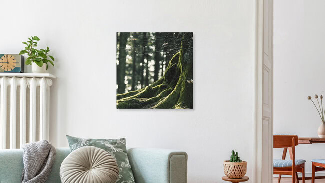Teutoburger Wald, Deutschland – Fotokunst von Nadja Jacke als Poster oder Acrylglasbild