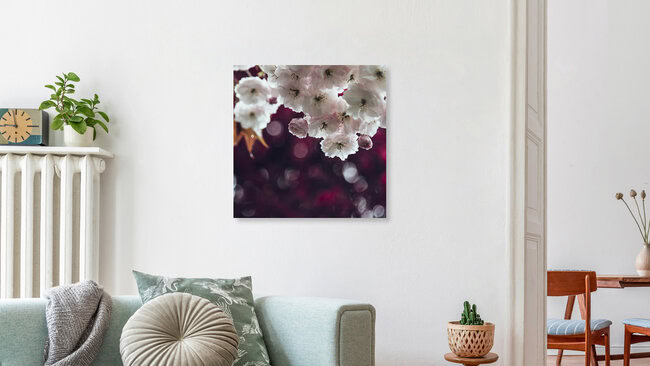 Kirschblüten im Frühling, Deutschland – Fotokunst von Nadja Jacke als Poster oder Acrylglasbild