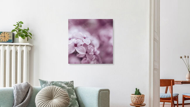 Rosa Flieder Traum, Deutschland – Fotokunst von Nadja Jacke als Poster oder Acrylglasbild