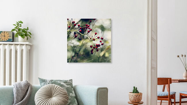 Kleine Hagebutten im Herbst, Deutschland – Fotokunst von Nadja Jacke als Poster oder Acrylglasbild