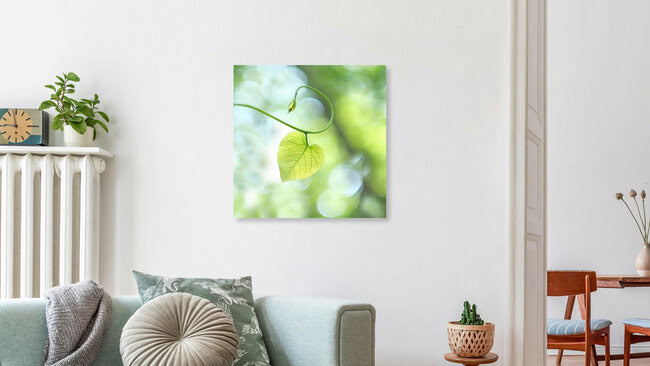 Mein Herzblatt - My One and Only, Deutschland – Fotokunst von Torsten Kupke als Poster oder Acrylglasbild