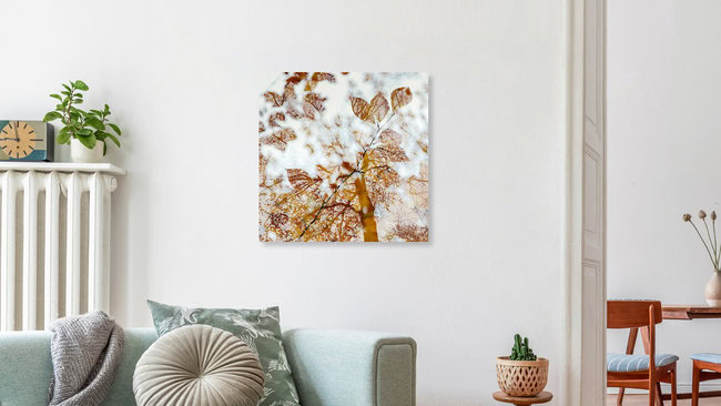 Herbstlicher Wald, Deutschland – Fotokunst von Nadja Jacke als Poster oder Acrylglasbild
