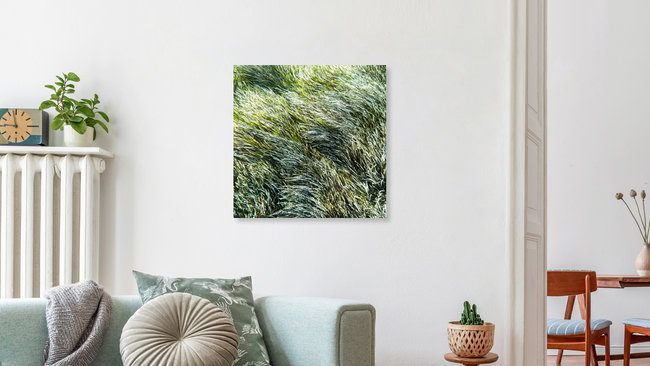 Getarnt im Seegras, Spanien – Fotokunst von Nadja Jacke als Poster oder Acrylglasbild