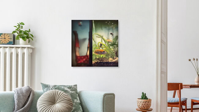 aquachill, Germany – wall art by Ambra A as Poster or Acrylic Glass Print