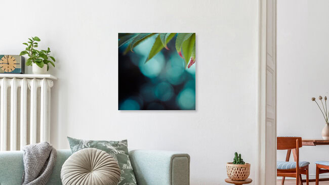 fern leaf, Germany – wall art by Ezra Portent as Poster or Acrylic Glass Print