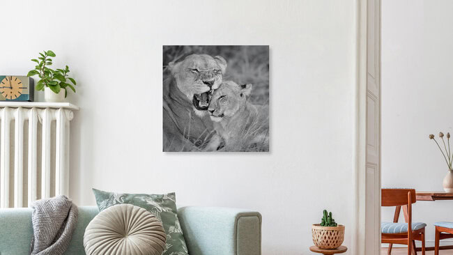Löwenmutter mit Jungem, Botswana – Fotokunst von Dennis Wehrmann als Poster oder Acrylglasbild