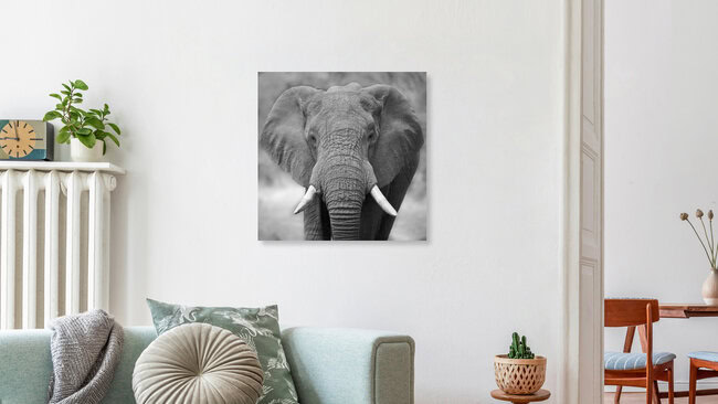Elefant in der Khwai Konzession in Botswana, Botswana – Fotokunst von Dennis Wehrmann als Poster oder Acrylglasbild
